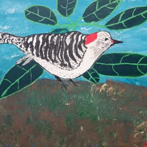 Quail